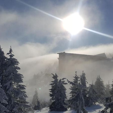 Apartman Medvedin 306 Špindlerŭv Mlýn Buitenkant foto