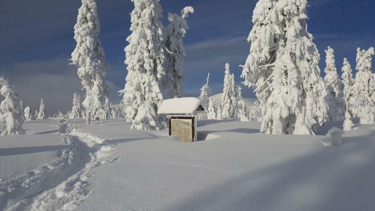 Apartman Medvedin 306 Špindlerŭv Mlýn Buitenkant foto