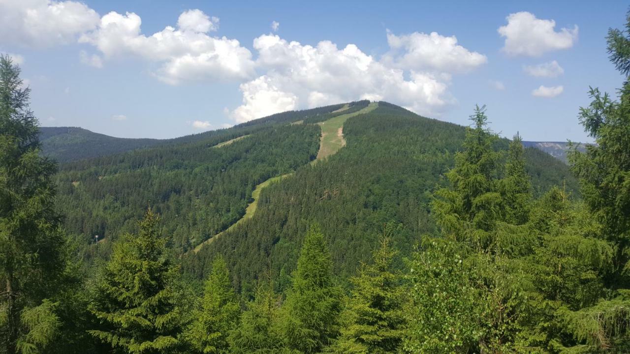 Apartman Medvedin 306 Špindlerŭv Mlýn Buitenkant foto